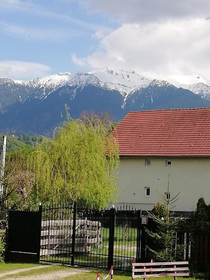 Villa Casa Jasmin Bran  Exterior foto